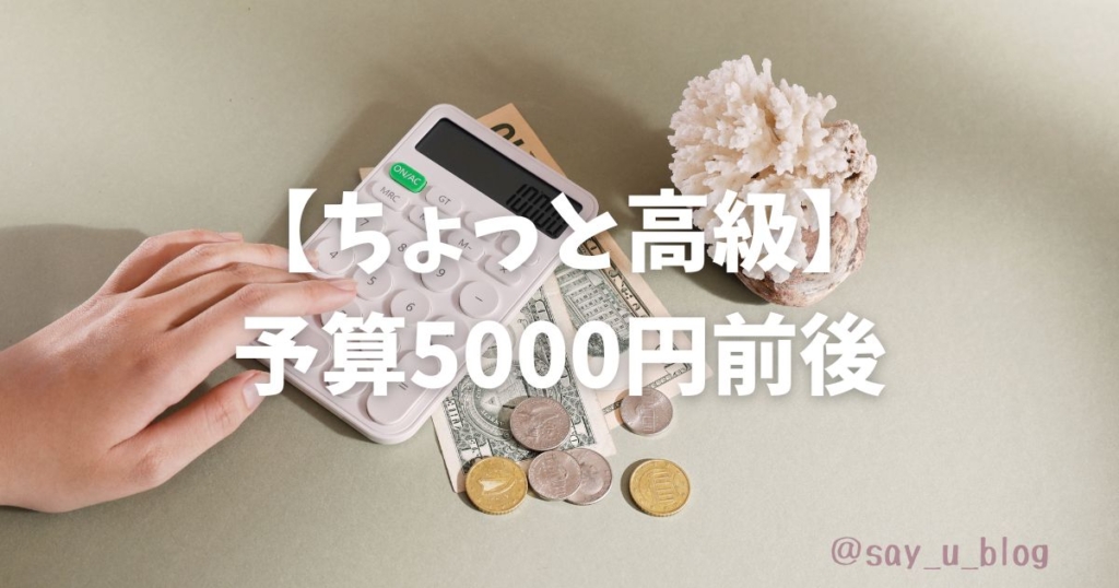 reccomend-gifts-of-pokemon-about-budget　五千円前後