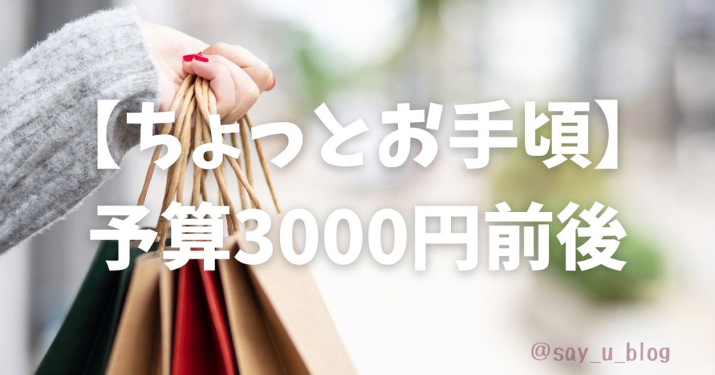 reccomend-gifts-of-pokemon-about-budget　三千円前後